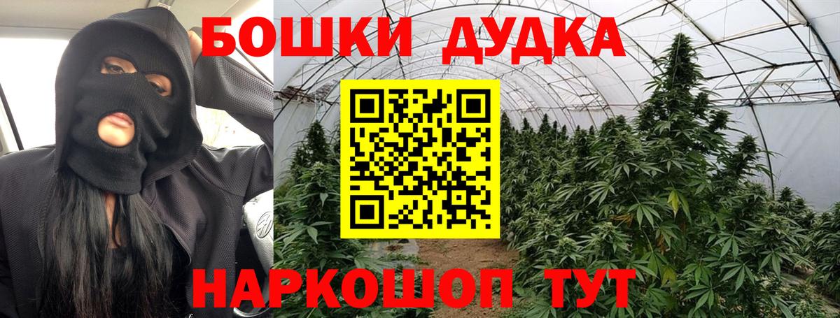 Каннабис сатива Кудымкар